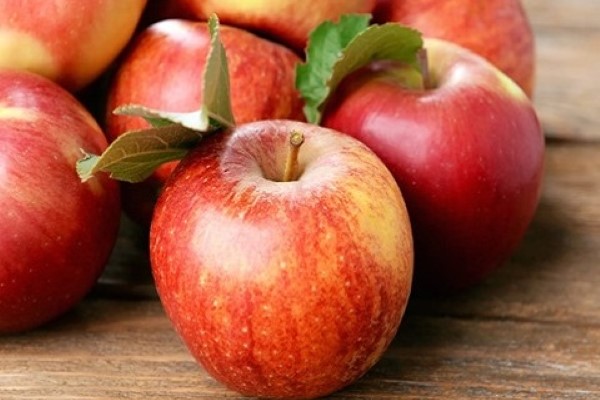 تصویر 4 از قیمت خرید سیب ژاپنی فوجی + فروش ویژه